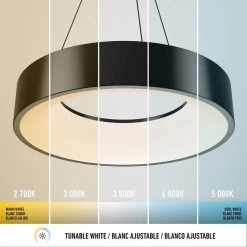 Aiden Drum 31-Watt 1-Light Integrated LED Black Hanging Pendant Light by Artika 17 Aiden Drum 31-Watt 1-Light Integrated LED Black Hanging Pendant Light by Artika -KINWELL shop black artika chandeliers pdt aic hd2bl 1f 1000