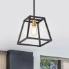 1-Light Matte Black Dimmable Mini Pendant with 54 in. Rods by Jushua 2 1-Light Matte Black Dimmable Mini Pendant with 54 in. Rods by Jushua -KINWELL shop matte black jushua pendant lights gol a60017 64 1000